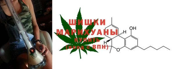 МДПВ Билибино