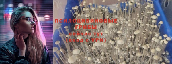 jwh Белая Холуница